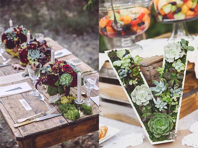idees decor table avec des cactus et des plantes grasses